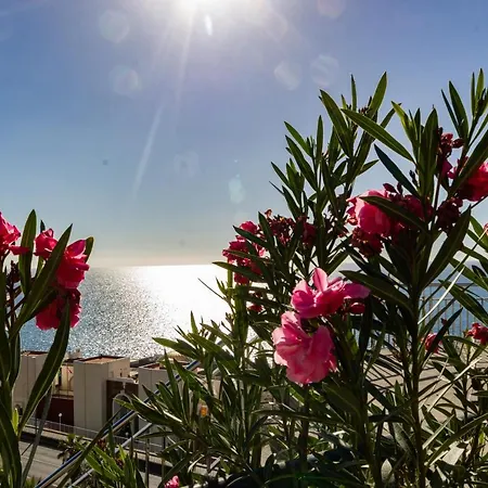 Panorama Canaria